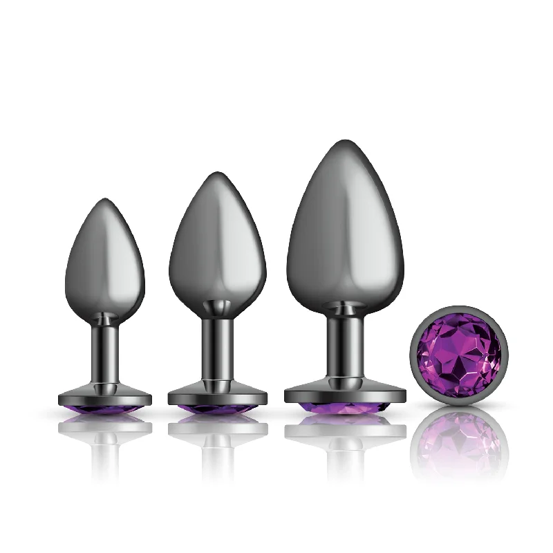 Anal toys with travel pouch-Cheeky Charms - Metal Butt Plug Gunmetal - Round - Deep Purple - Anal Trainer Kit